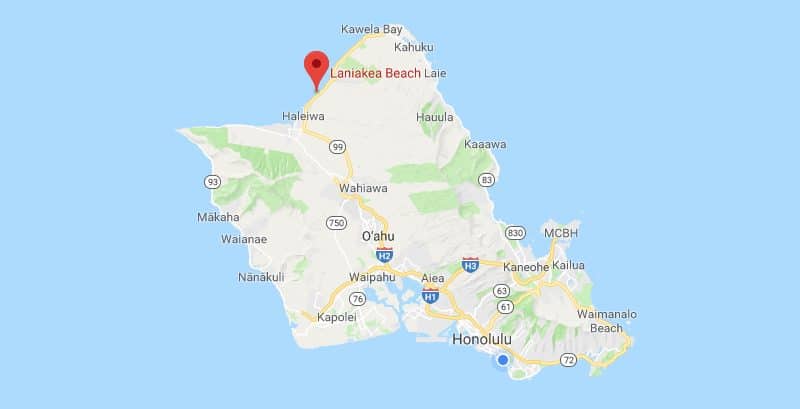 Laniakea Beach on the North Shore of Oahu