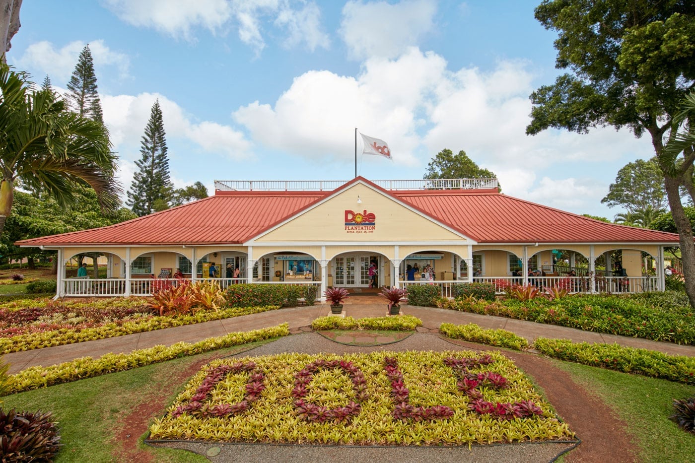 Best Pineapple Farms in Hawaii to Visit Island and You