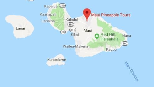 Maui Pineapple Tour - Maui - And You Creations - Island and You