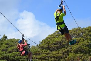 The Top 3 Places to Zip Line in Oahu, Hawaii