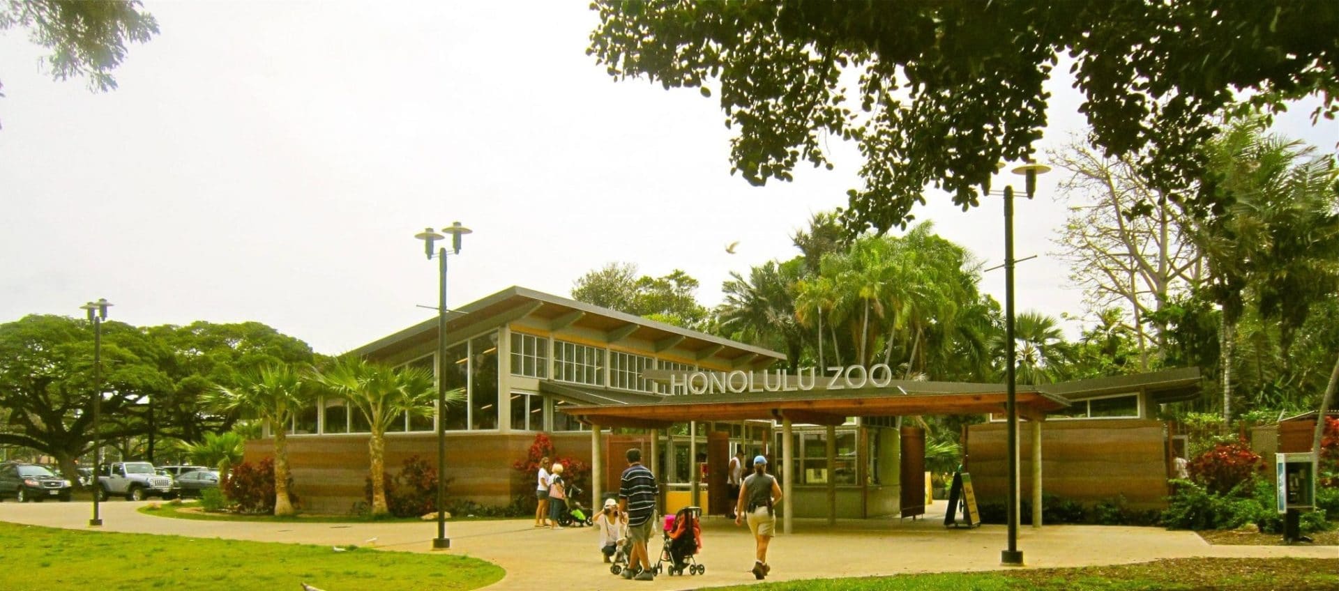 Honolulu Zoo Information and Fun Facts - AYC And You Creations