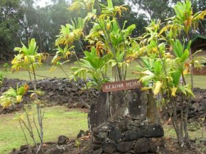 ハワイのパワースポット・癒しの寺院「ケアイヴァ・ヘイアウ」