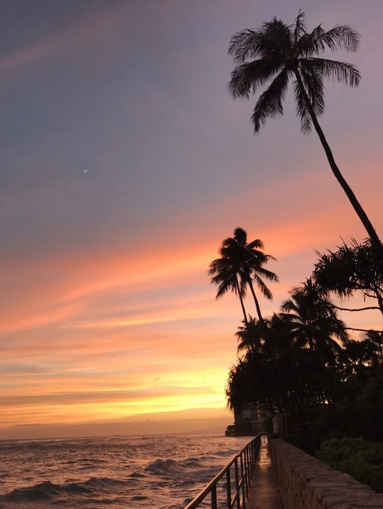 top-3-places-to-watch-the-sunset-in-oahu-dolphins-and-you