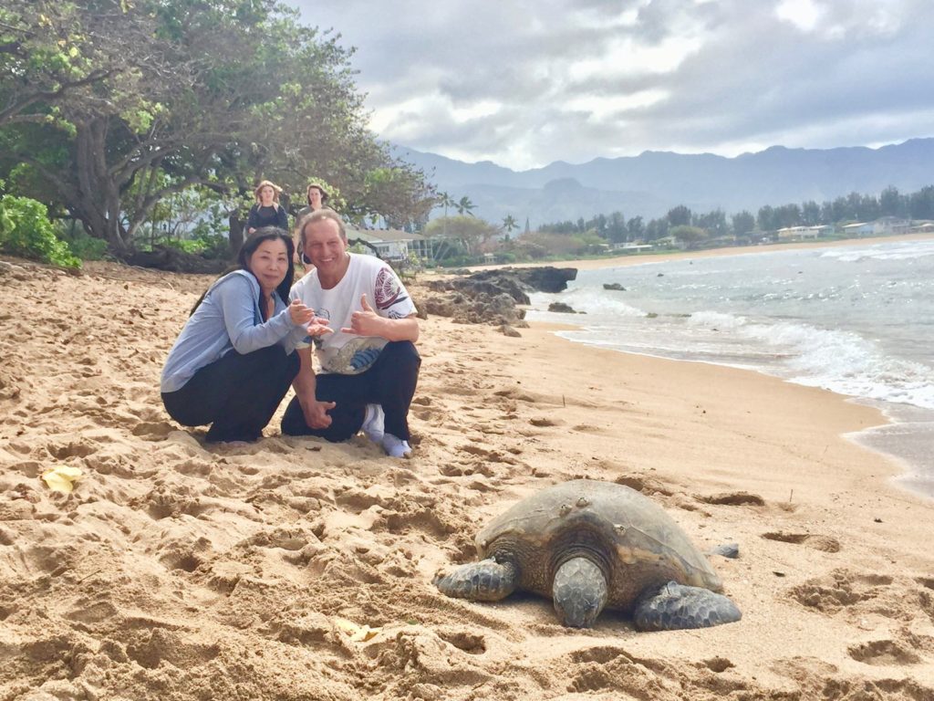Guests with sunbathing sea turtle