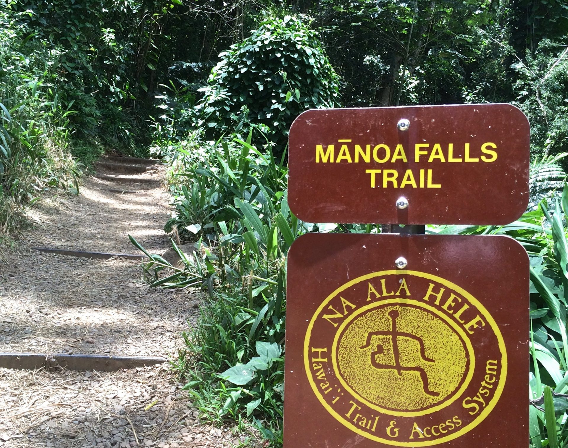 You are currently viewing Manoa Falls Trail Closed