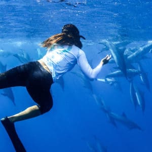 Swim with dolphins in the wild in Hawaii