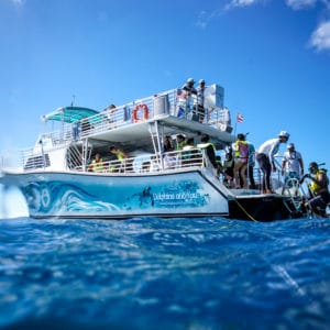 Ocean and You — Waikiki Sunset Cruise with Island Cuisine