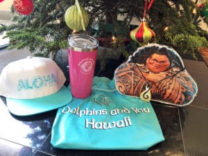 Dolphins and You 2018 Gift Guide for Hawaii Gifts