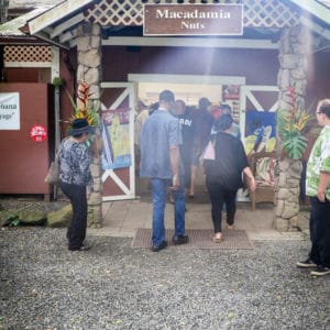 Oahu Macadamia Nut Farm Location