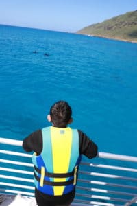 11-year-old Justin watches dolphins from the boat on Dolphins and You.