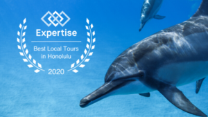 Dolphins and You wins Expertise Best Local Tour in Honolulu
