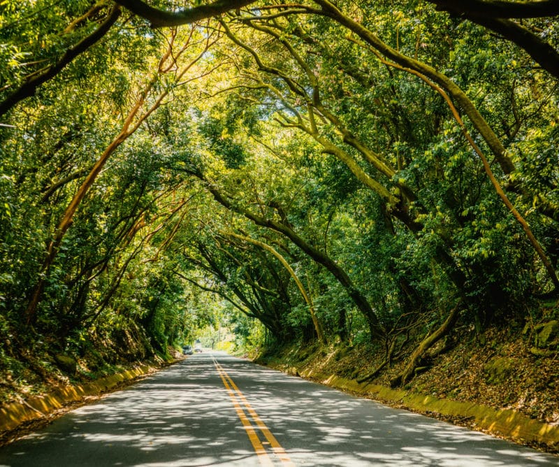 Drive the spooky old Pali road during Halloween in Oahu