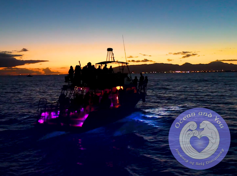 2024 Honolulu Sunset & Light Painting Experience