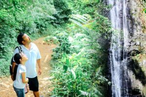 The History of Manoa Valley Waterfall and Trail