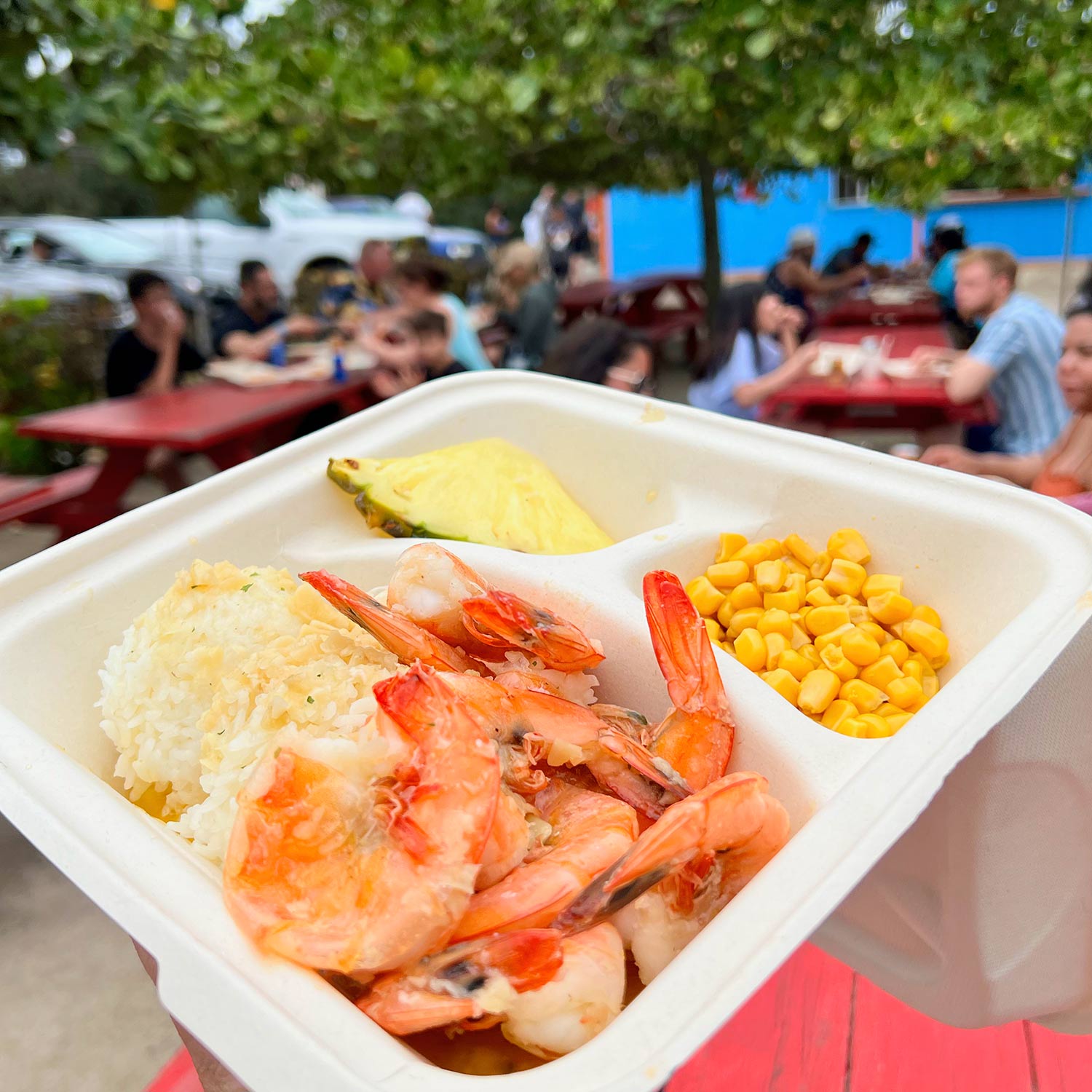 You are currently viewing Fumi’s Shrimp Trucks in Kahuku on our Oahu Circle Island Tour