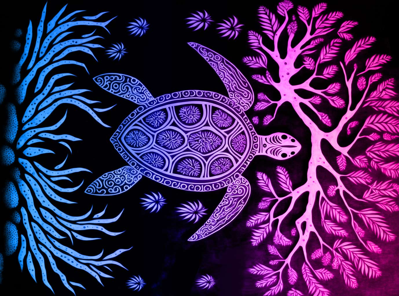 You are currently viewing How to tell Male and Female Sea Turtles apart.