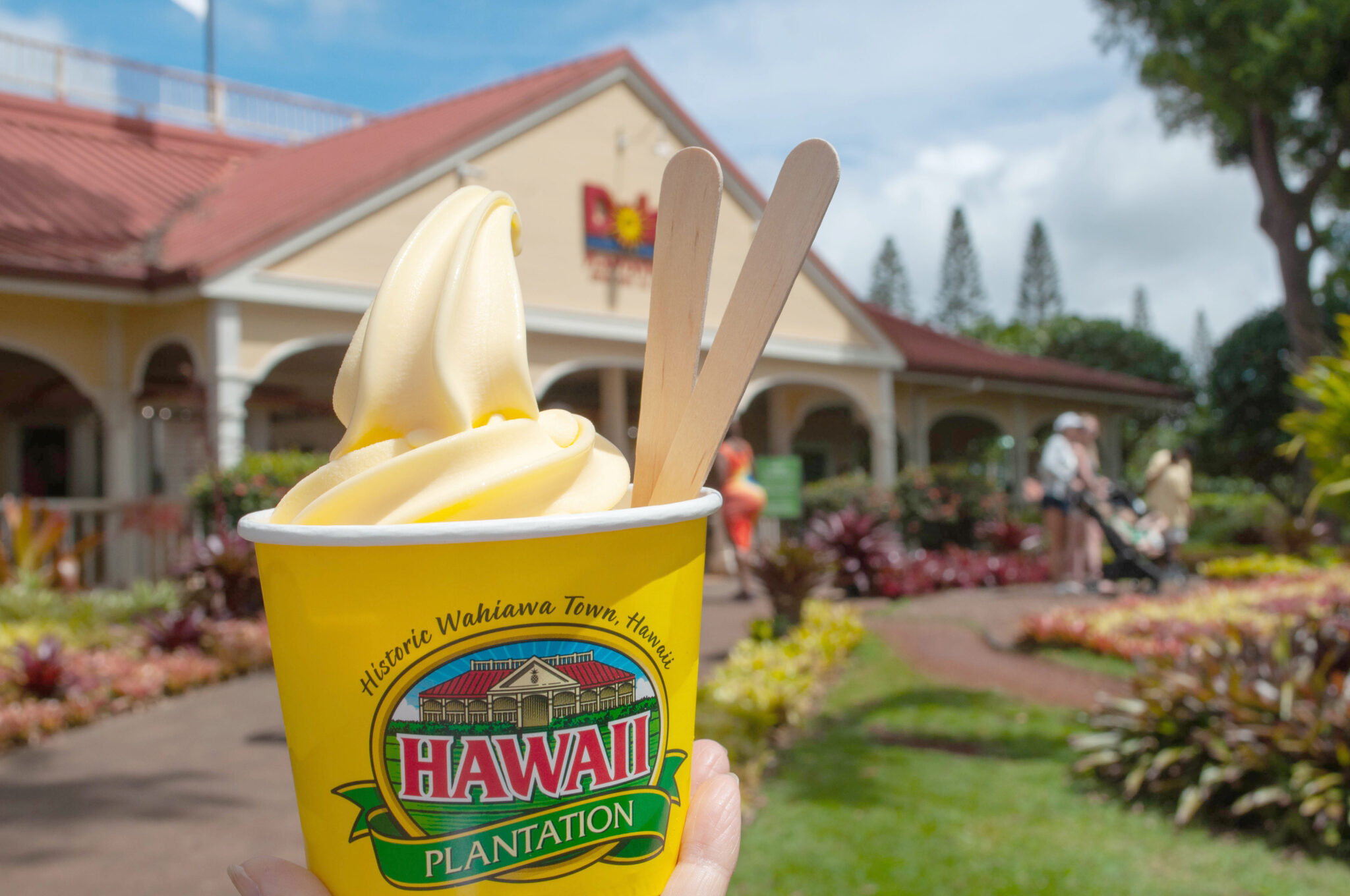 Where Is Dole Plantation? Oahu Island In Hawaii - And You Creations ...