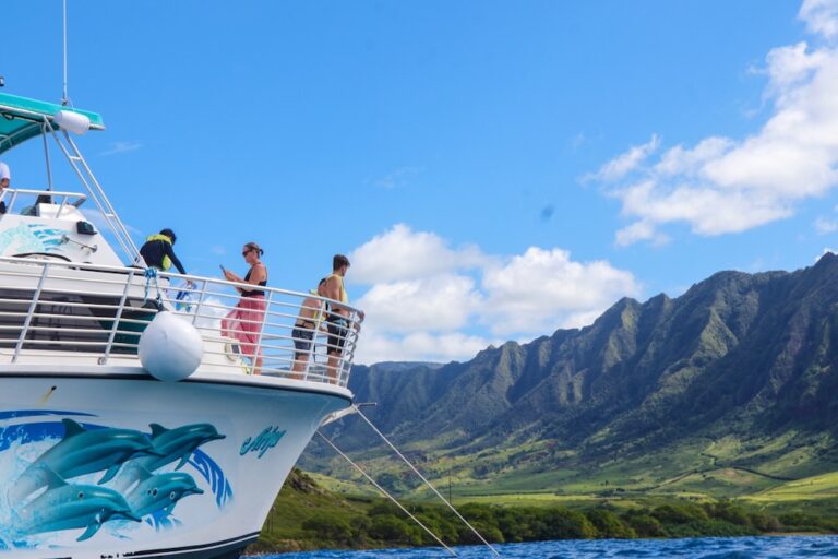 AYC海のオプショナルツアー