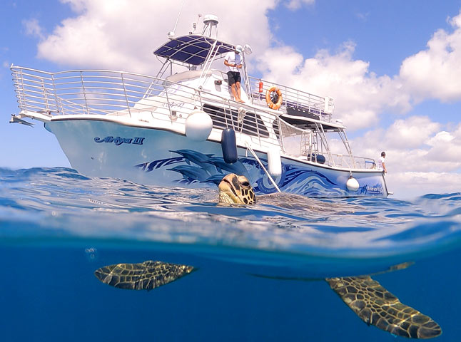 Waikiki-Turtle-Snorkeling-Boat