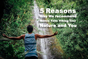 5 Reasons why we recommend Manoa Falls Hiking Tour, Nature and You