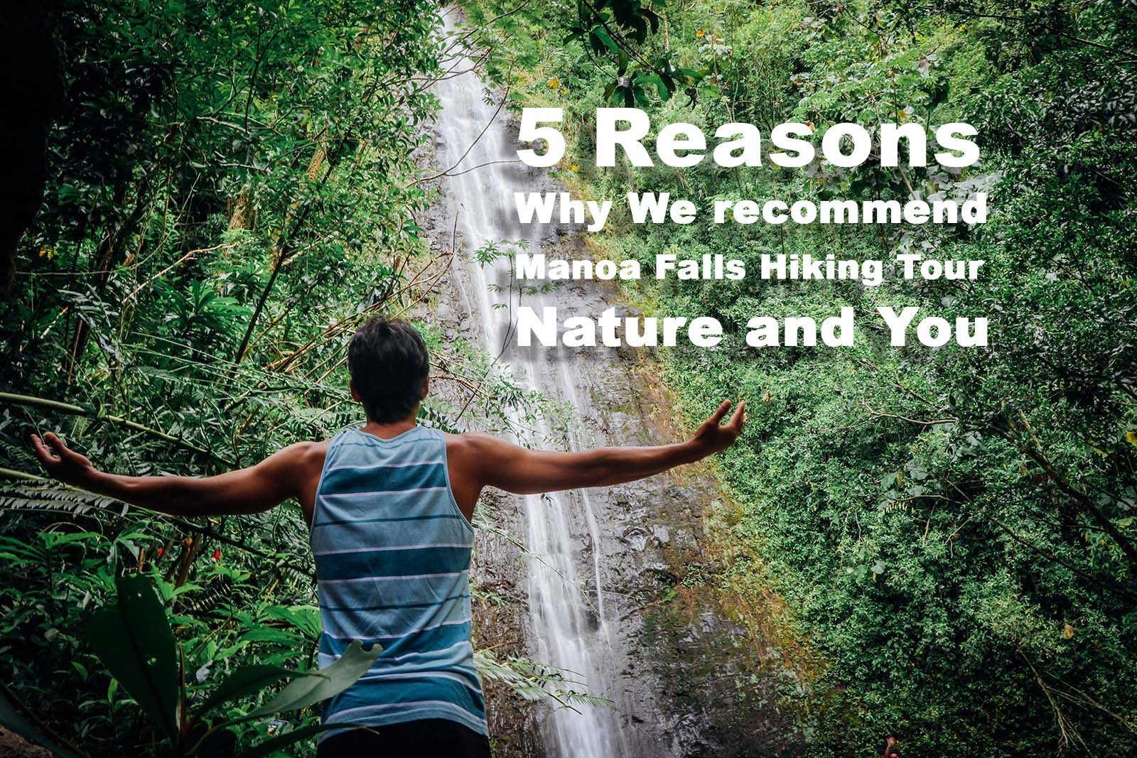 You are currently viewing 5 Reasons why we recommend Manoa Falls Hiking Tour, Nature and You