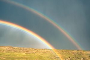 Rain in Hawaii Isn’t What You Think