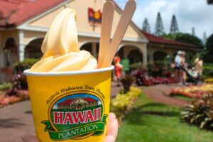 Visit Dole Plantation in Oahu: Top Attractions & Tours