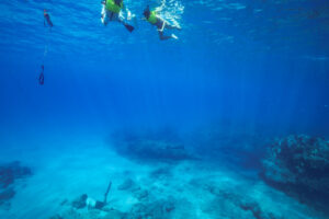 Snorkeling Tours In Hawaii
