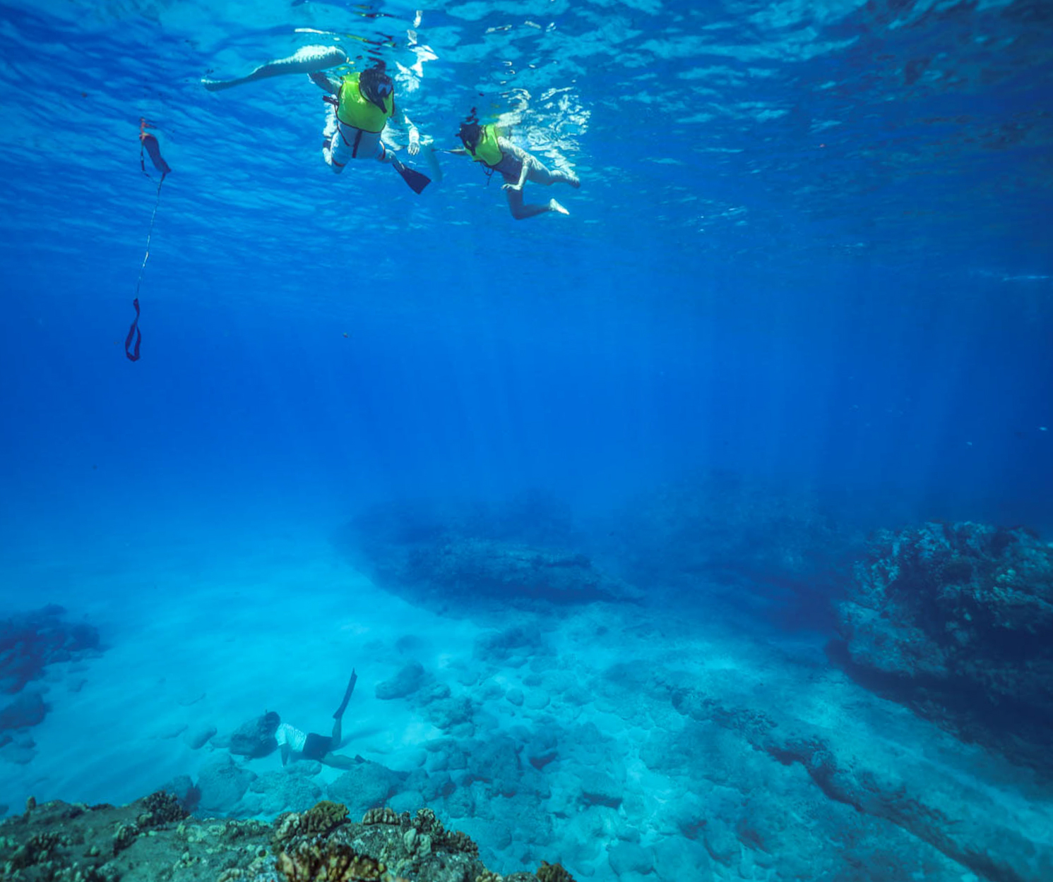 You are currently viewing Snorkeling Tours In Hawaii