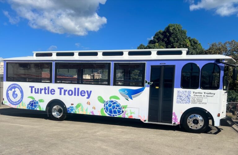 タートルトローリー turtle trolley