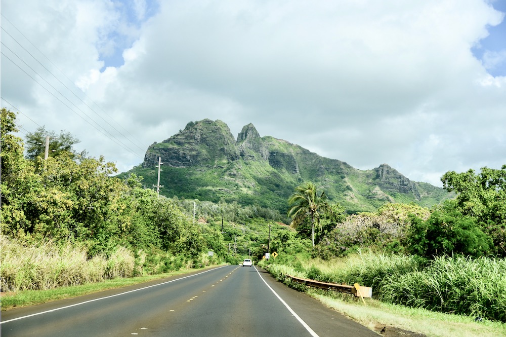 You are currently viewing オアフ島観光にハワイでレンタカー？それよりツアーに参加した方がお得？