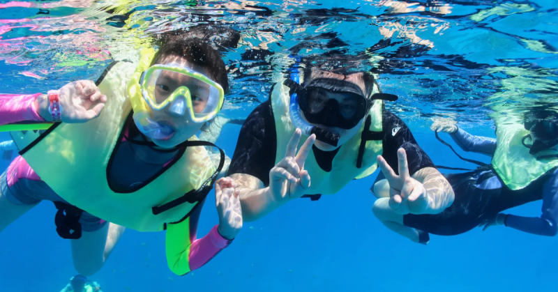 snorkelers observing sea turtles from a safe distance in oahu