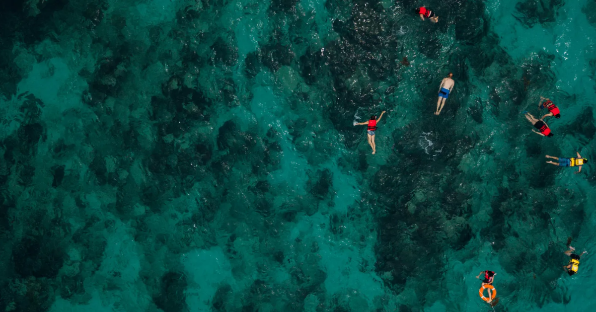 snorkeler floating above hawaiian sea turtle in oahu