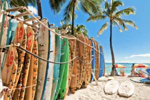 多彩な選択肢：ハワイ旅行・観光でオプショナルツアーを選ぶ際のポイント