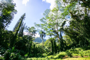Best places in Hawaii