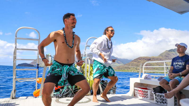 hawaiian hula