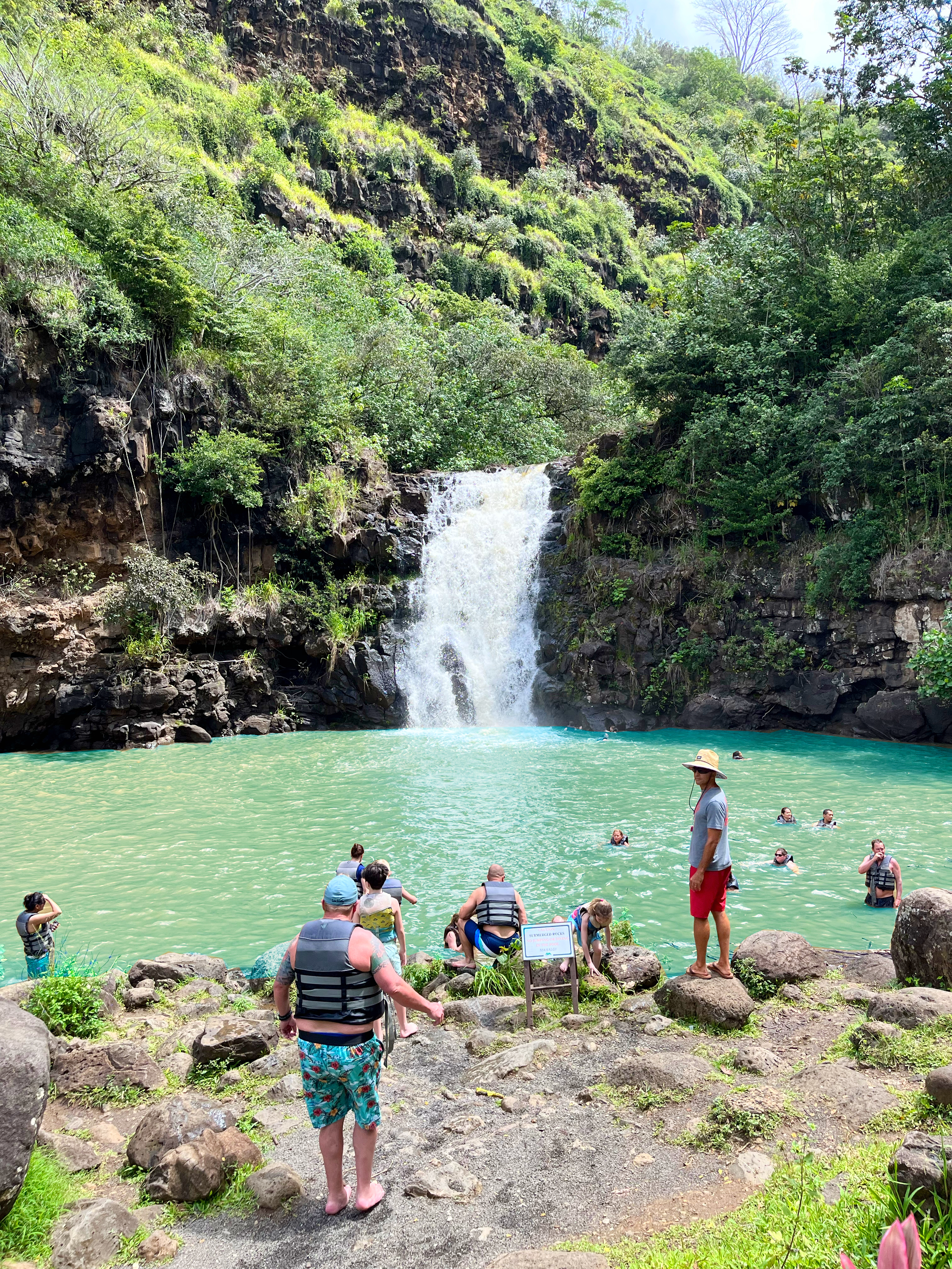 Best Waterfalls in Oahu: Waimea Valley Hike & Swim Tour Best Waterfalls in Oahu: Waimea Valley Hike & Swim Tour