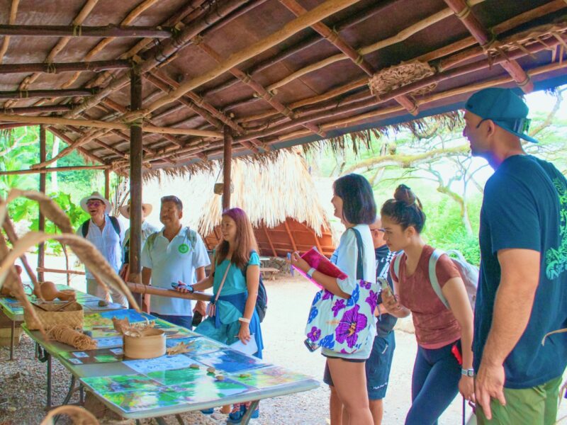 Guided tour in Waimea