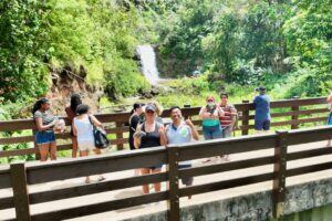 Guided tour vs Self tour in Oahu? – Hawaii Travel Tip 2024