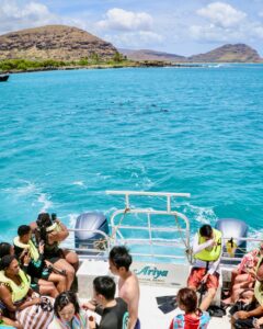 Hawaii-Dolphin-tour-waianae