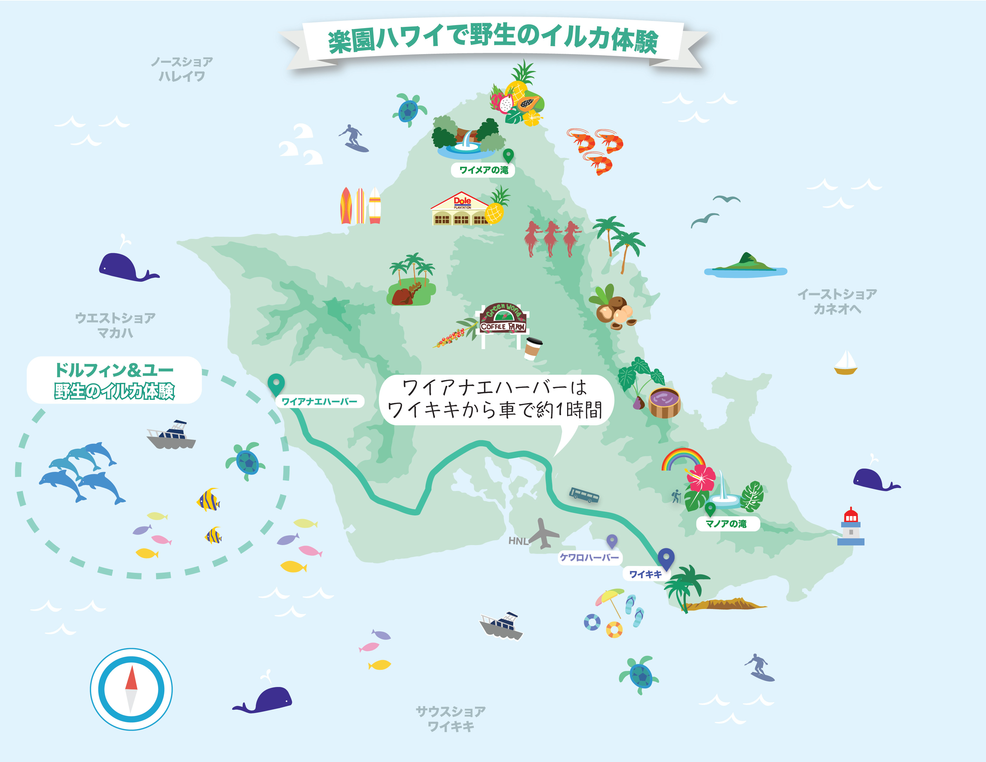 dolphin tour map