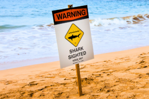 Shark Warning Signboard Hawaii