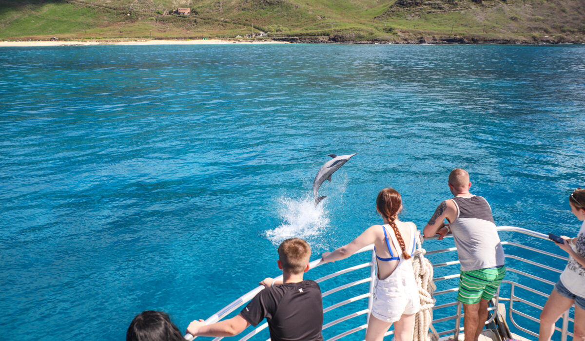Oahu Pearl Harbor Dolphin