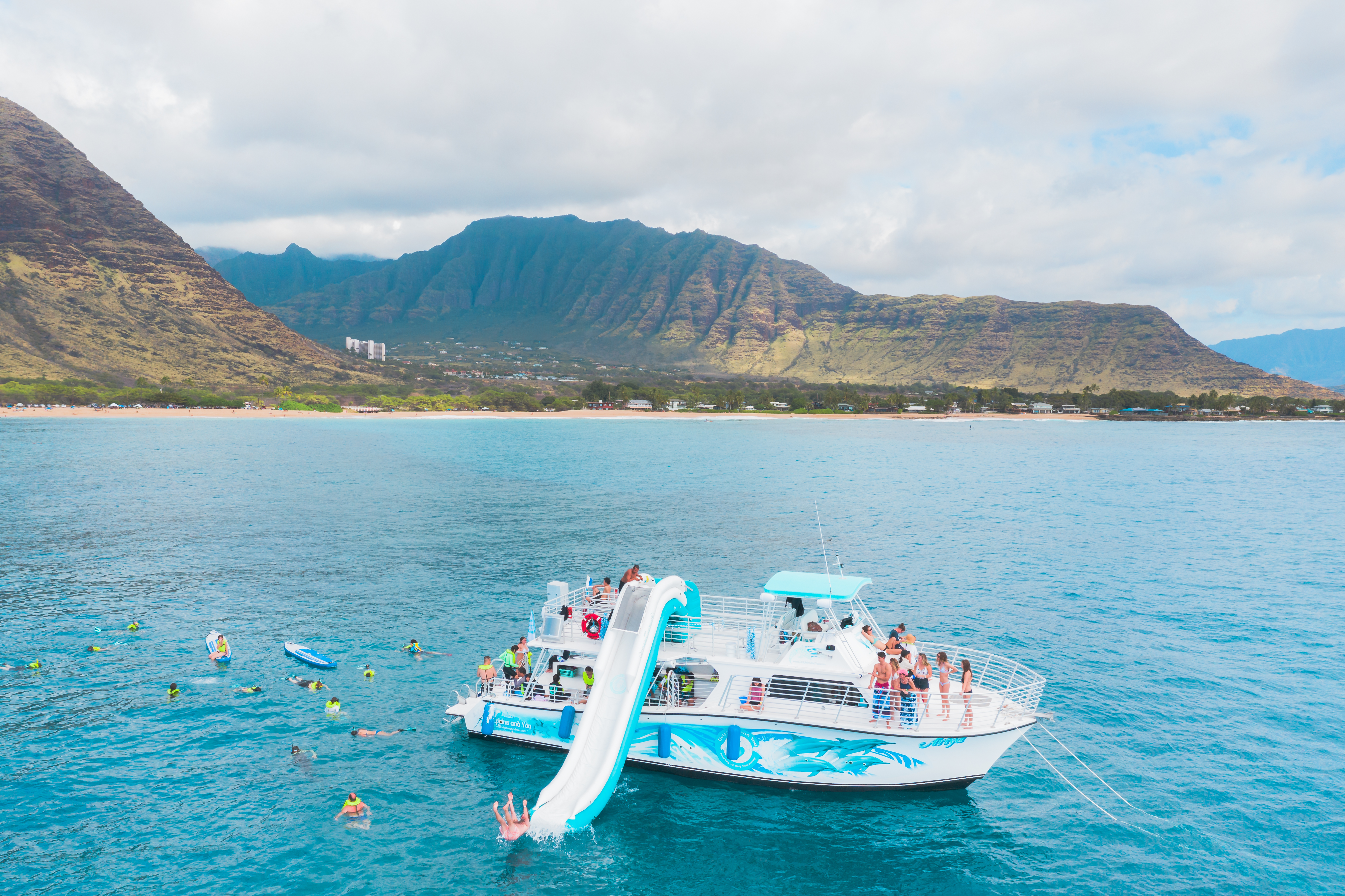 Oahu Pearl Harbor Dolphin