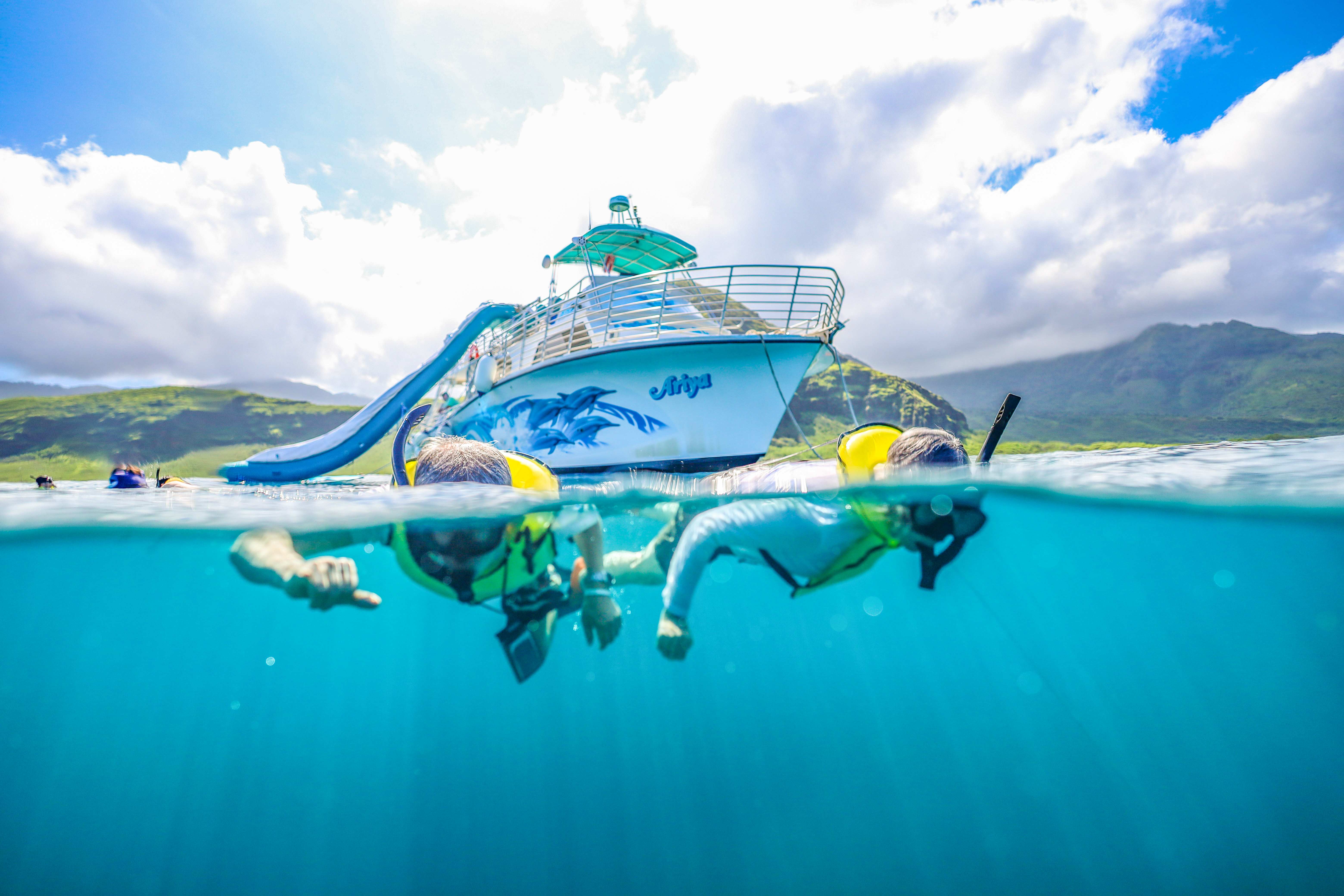 Oahu Pearl Harbor Dolphin