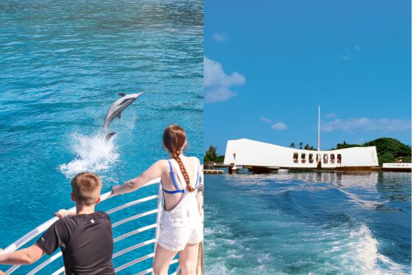 Oahu Pearl Harbor Dolphin-Tour Combo