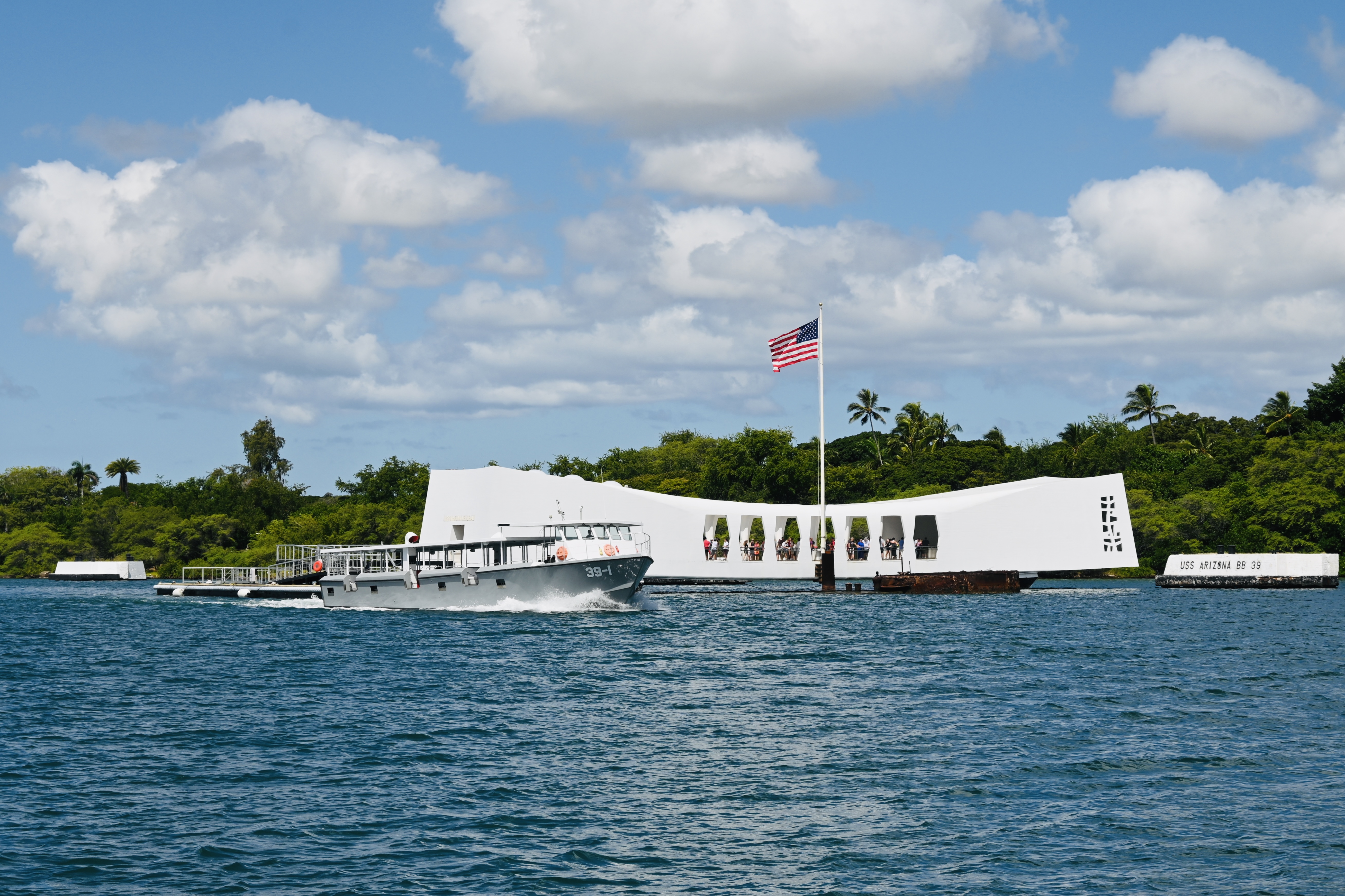 Oahu Pearl Harbor Dolphin