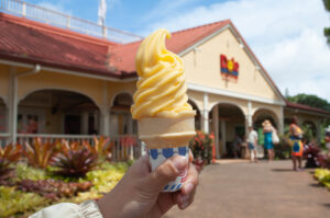 Dole whip-oafu-tour-blog