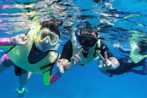 oahu-turtle-snorkeling