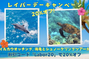 レイバーデースペシャルキャンペーン2024🐬イルカと🐢ウミガメのツアーが20%オフ